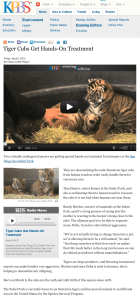 Tiger Cubs Get Hands-On Treatment